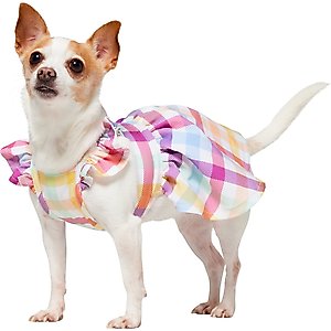 Frisco Spring Ruffle Dog & Cat Dress, Gingham, X-Small