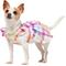Show in main carousel: Frisco Ruffle Dog & Cat Dress, Gingham, X-Small slide 3 of 11
