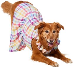 Frisco Ruffle Sleeve Dog & Cat Dress, Gingham, XX-Large slide 1 of 7