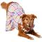Show in main carousel: Frisco Ruffle Dog & Cat Dress, Gingham, XX-Large slide 1 of 9