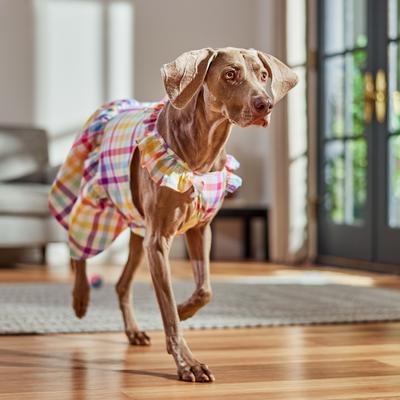 Show full view: Frisco Ruffle Dog & Cat Dress, Gingham, XX-Large slide 6 of 9