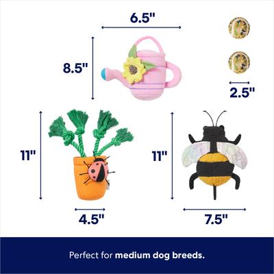 Show full view: Frisco Spring Plush & Rope Variety Pack Squeaky Dog Toy, Medium, 5 count slide 2 of 7