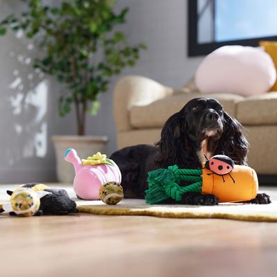 Show full view: Frisco Spring Plush & Rope Variety Pack Squeaky Dog Toy, Medium, 5 count slide 5 of 7