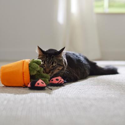 Show full view: Frisco Spring Potted Plant & Ladybugs Interactive Plush Cat Toy with Catnip slide 5 of 7