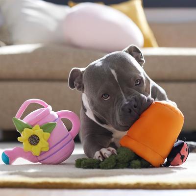 Show full view: Frisco Spring Potted Plant & Watering Can Plush Squeaky Dog Toy, Medium/Large, 2 count slide 5 of 7