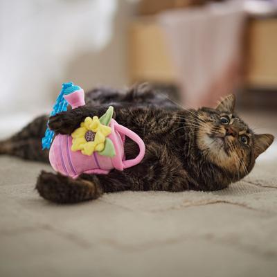 Show full view: Frisco Spring Watering Can Plush Cat Toy with Catnip slide 5 of 7