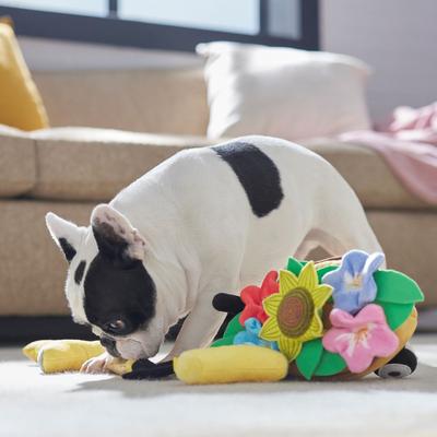 Show full view: Frisco Spring Wheelbarrow Hide & Seek Puzzle Plush Squeaky Dog Toy, Small/Medium slide 6 of 8