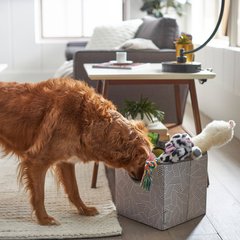 Frisco Square Collapsible Pet Toy Storage Bin, Gray Basket Weave