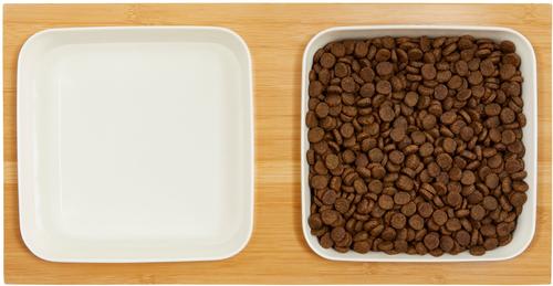 Show full view: Frisco Square Melamine Dog & Cat Bowl Set with Bamboo Stand, Medium: 5 cup slide 4 of 8