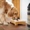 Show in main carousel: Frisco Square Melamine Dog & Cat Bowl Set with Bamboo Stand, Medium: 5 cup slide 7 of 8
