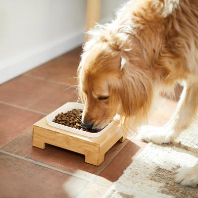 Show full view: Frisco Square Melamine Dog & Cat Bowl with Bamboo Stand, Medium: 5 cup, 1 count slide 8 of 9