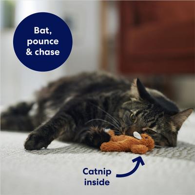 Show full view: Frisco Squirrel Plush Cat Toy with Refillable Catnip slide 4 of 6