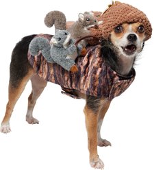 Frisco Squirrels & Nuts Ride-On Dog Costume, Small