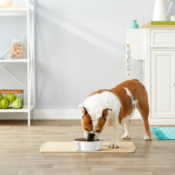 Frisco Stainless Steel Dog & Cat Bowl