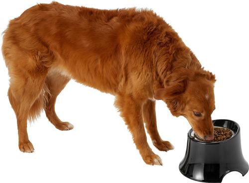 Show full view: Frisco Stainless Steel Bowl with Elevated Stand, 2 count, Black slide 6 of 8