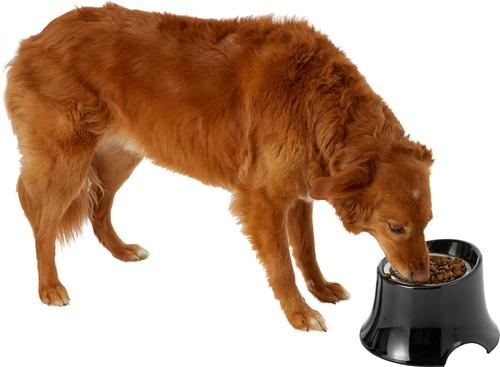 Show full view: Frisco Stainless Steel Bowl with Elevated Stand, Black, Medium: 3 cup, 1 count slide 6 of 9