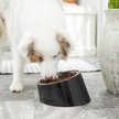 Show in main carousel: Frisco Stainless Steel Bowl with Elevated Stand, Black, Medium: 3 cup, 1 count slide 7 of 9