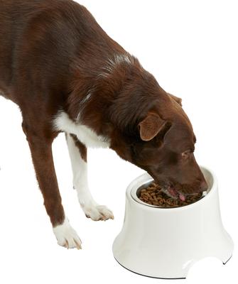 Show full view: Frisco Stainless Steel Bowl with Elevated Stand, Cream, Medium: 3 cup, 1 count slide 7 of 10