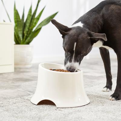 Show full view: Frisco Stainless Steel Bowl with Elevated Stand, Cream, Medium: 3 cup, 1 count slide 8 of 10