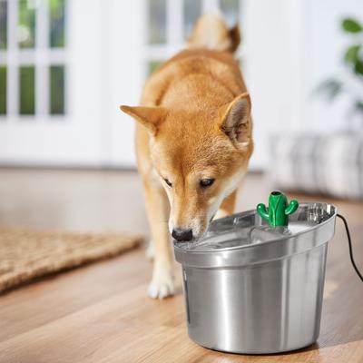 Show full view: Frisco Stainless Steel Cactus & Leaf Dog & Cat Fountain, 100-oz slide 7 of 9