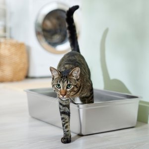 Frisco Stainless Steel Cat Litter Box, Large, 23-in