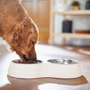 Frisco Stainless Steel Double Dog Bowls with Melamine Stand, Medium: 3 cup