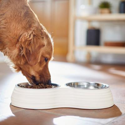 Show full view: Frisco Stainless Steel Double Dog Bowls with Melamine Stand, Medium: 3 cup slide 4 of 6