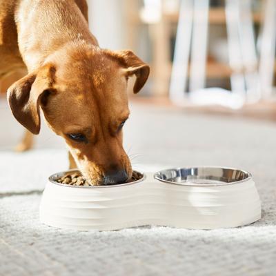 Show full view: Frisco Stainless Steel Double Dog Bowls with Melamine Stand, Small: 1.5 cup slide 4 of 5