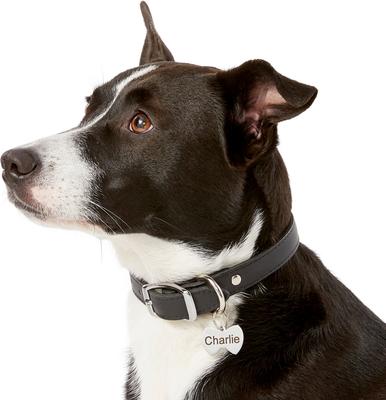 Show full view: Frisco Stainless Steel Personalized Dog & Cat ID Tag, Bow Tie, Small slide 6 of 8