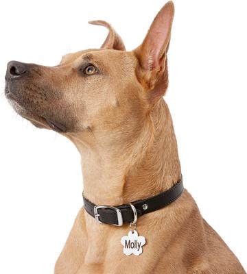 Show full view: Frisco Stainless Steel Personalized Dog & Cat ID Tag, Flower, Regular slide 7 of 9