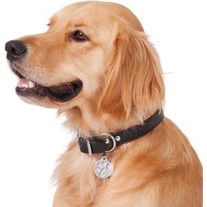 Frisco Stainless Steel Personalized Dog & Cat ID Tag, Paw Print, Silver, Regular