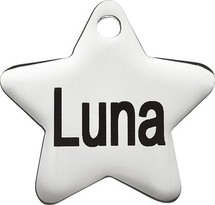 Show full view: Frisco Stainless Steel Personalized Dog & Cat ID Tag, Star, Small slide 4 of 9