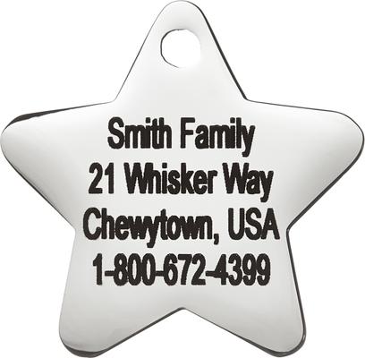 Show full view: Frisco Stainless Steel Personalized Dog & Cat ID Tag, Star, Small slide 5 of 9