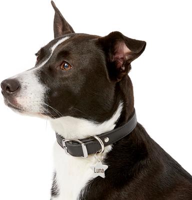 Show full view: Frisco Stainless Steel Personalized Dog & Cat ID Tag, Star, Small slide 7 of 9