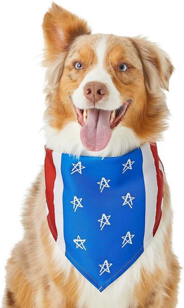 Frisco Dog & Cat 4th of July Stars & Stripes Bandana