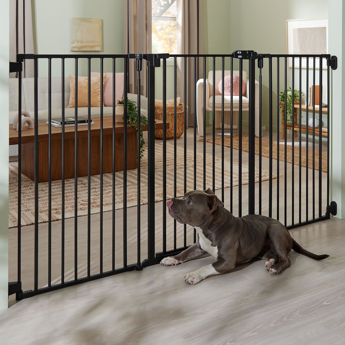 Configurable Gate FRISCO Steel 3-Panel Configurable Gate, 41-in Height, Black - Chewy.com
