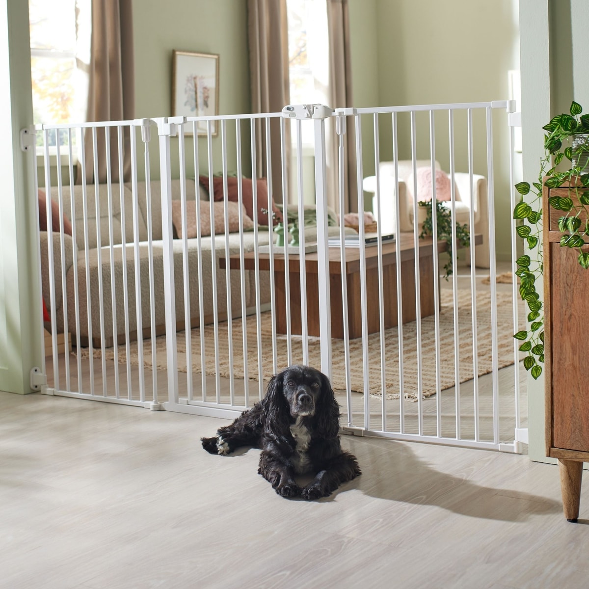 Configurable Gate FRISCO Steel 3-Panel Configurable Gate, 41-in Height, White - Chewy.com