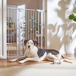 Frisco Steel Extra Tall Auto-Close Dog Gate, Gray, 40-in