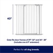Show in main carousel: Frisco Steel Extra Tall Auto-Close Dog Gate, Gray, 40-in slide 2 of 8