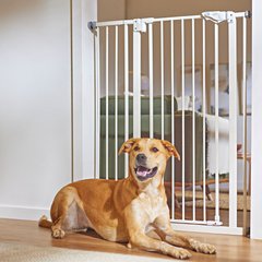 Frisco Steel Extra Tall Auto-Close Dog Gate, White, 40-in