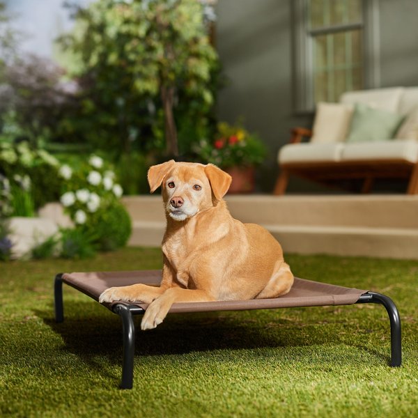 Show full view: Frisco Steel-Framed Elevated Dog Bed, Brown, Medium slide 1 of 8