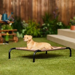 Frisco Steel-Framed Elevated Dog Bed, Brown, Small