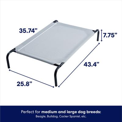 Show full view: Frisco Steel-Framed Elevated Dog Bed, Gray, Medium slide 2 of 8
