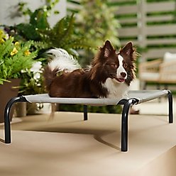 Frisco Steel-Framed Elevated Dog Bed, Gray, Small slide 1 of 4