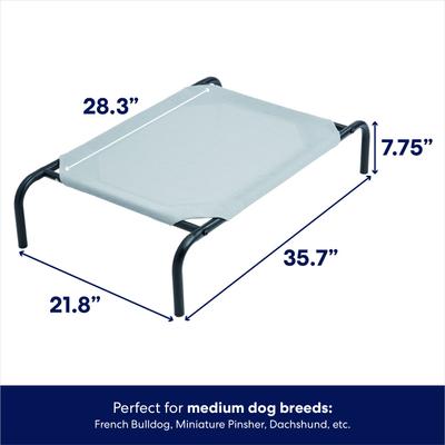 Show full view: Frisco Steel-Framed Elevated Dog Bed, Gray, Small slide 3 of 8