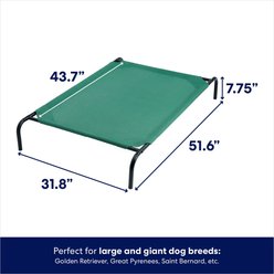 Frisco Steel-Framed Elevated Dog Bed, Green, Large slide 2 of 5