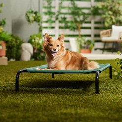 Frisco Steel-Framed Elevated Dog Bed, Green, Medium