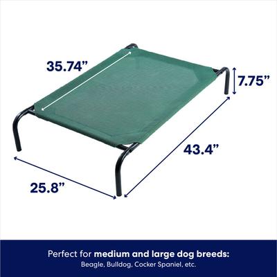 Show full view: Frisco Steel-Framed Elevated Dog Bed, Green, Medium slide 2 of 8