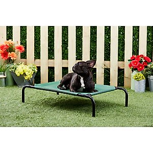 Frisco Steel-Framed Elevated Dog Bed, Green, Small