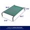 Show in main carousel: Frisco Steel-Framed Elevated Dog Bed, Green, Small slide 3 of 9